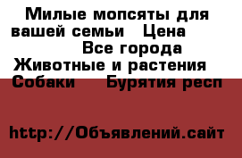 Милые мопсяты для вашей семьи › Цена ­ 20 000 - Все города Животные и растения » Собаки   . Бурятия респ.